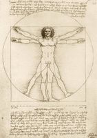 Bluebird The Vitruvian Man, 1490 - puzzle image