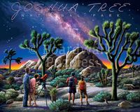 Boardwalk Joshua Tree National Park - puzzle image