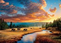 Buffalo Games A Never-Ending Cycle - puzzle image