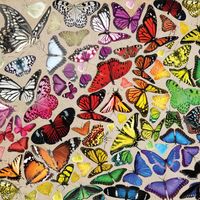 Buffalo Games Butterfly Chroma - obrázek puzzlí