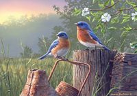 Buffalo Games Daybreak Bluebirds - Puzzlebild