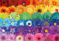 Buffalo Games Flower Spectrum - puzzle image