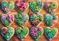 Buffalo Games Heart Succulents - puzzle image
