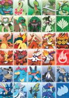 Buffalo Games Pokémon Final Evolution - obrázek puzzlí