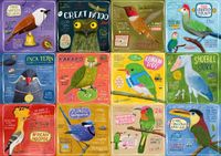 Buffalo Games Rare Birds - puzzle image