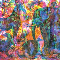 Carnovsky Jungle - obrázek puzzlí