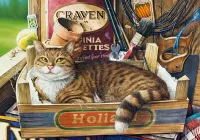 Castorland Fothergill - puzzle image