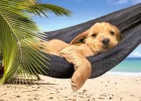 Castorland Leisure Time - obrázek puzzlí