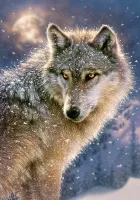 Castorland Lone Wolf - puzzle image