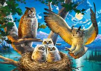 Castorland Owl Family - obrázek puzzlí