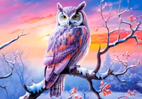 Castorland Owl's Perfect Evening - obrázek puzzlí