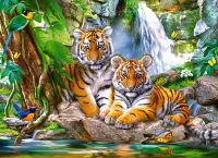 Castorland Tiger Falls - obrázek puzzlí