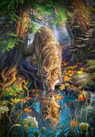 Castorland Wolf in the Wild - puzzle image