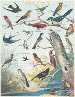 Cavallini & Co. Audubon Birds - puzzle image