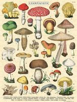 Cavallini & Co. Mushrooms - obrázek puzzlí