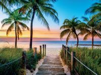Ceaco Beach Vibes - puzzle image