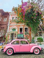 Ceaco Boulevard In Bloom - puzzle image