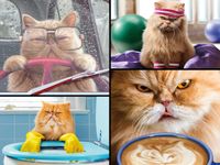 Ceaco Cranky Kitties - Awesome Foursome - image du puzzle