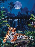 Ceaco Eye Of The Tiger - obrázek puzzlí