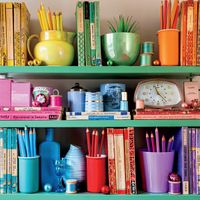 Ceaco #Shelfies - Rainbow Shelf - obrázek puzzlí