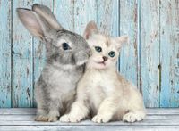 Clementoni Cat&Bunny - puzzle image