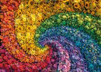 Clementoni Colorboom: Whirl - puzzle image