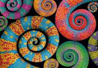 Clementoni ColorBoom: Curly Tails - puzzle image