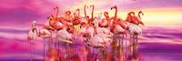 Clementoni Flamingo Dance - puzzle image