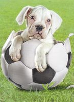 Clementoni Football Player - obrázek puzzlí