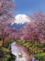 Clementoni Fuji mountain - puzzle image