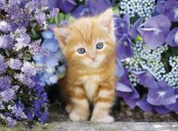 Clementoni Ginger Cat in Flowers - obrázek puzzlí