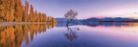 Clementoni Lake Wanaka Tree - obrázek puzzlí