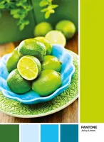 Clementoni Pantone: Juicy Limes - puzzle image