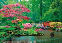 Clementoni Peace Puzzle: Raindrops Lullaby - obrázek puzzlí