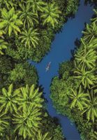 Clementoni Tropical Aerial View - obrázek puzzlí