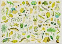 Cloudberries Green - obrázek puzzlí