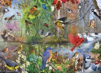 Cobble Hill Birds of the Season - puzzle image