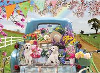 Cobble Hill Country truck in spring - obrázek puzzlí
