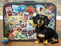 Cobble Hill Dachshund ‘Round the World - puzzle image