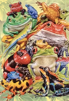 Cobble Hill Frog Pile - puzzle image