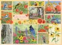 Cobble Hill Garden Birds in Autumn - puzzle image