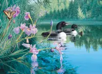 Cobble Hill Iris Cove Loons - puzzle image