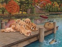 Cobble Hill Lazy Day on the Dock - obrázek puzzlí