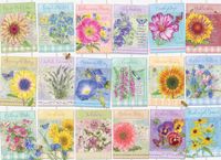 Cobble Hill Seed Packets - puzzle image