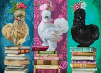 Cobble Hill Silkies - puzzle image