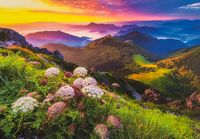 Dino Velký Rozsutec, Malá Fatra, Slovensko - obrázek puzzlí