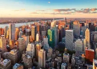 Dino  Manhattan, New York, USA - obrázek puzzlí