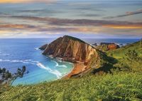 Dino Mořský útes - obrázek puzzlí