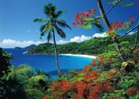 Dino Mořský záliv - obrázek puzzlí