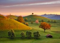 Dino Pohádkový východ slunce - obrázek puzzlí